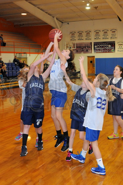 1-31-15 SA vs. HCS Pee Wee 035.JPG